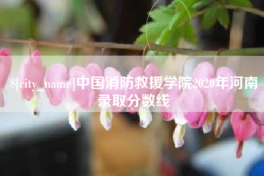 齐齐哈尔中国消防救援学院2020年河南录取分数线