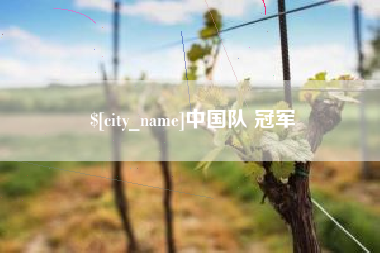 齐齐哈尔中国队 冠军