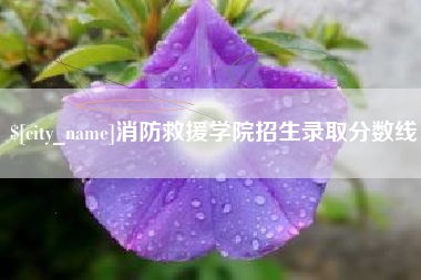 齐齐哈尔消防救援学院招生录取分数线