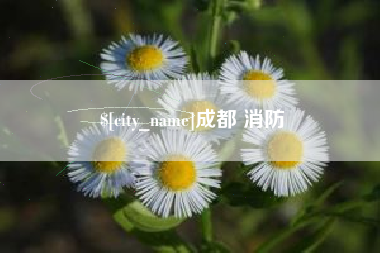 齐齐哈尔成都 消防