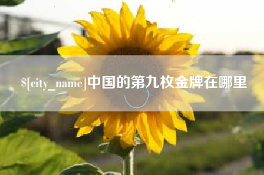 齐齐哈尔中国的第九枚金牌在哪里