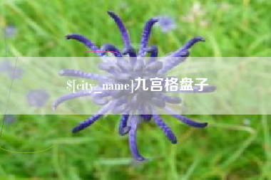 齐齐哈尔九宫格盘子
