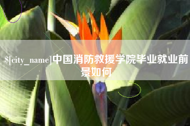 齐齐哈尔中国消防救援学院毕业就业前景如何