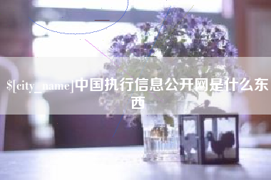 齐齐哈尔中国执行信息公开网是什么东西