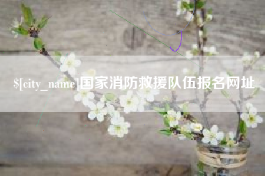 齐齐哈尔国家消防救援队伍报名网址