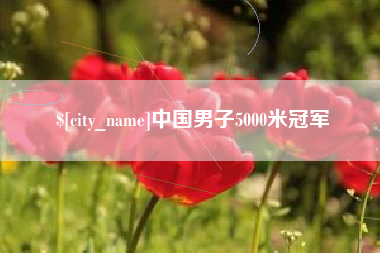 齐齐哈尔中国男子5000米冠军