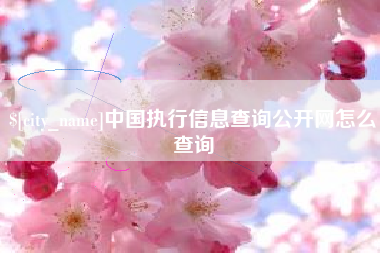 齐齐哈尔中国执行信息查询公开网怎么查询