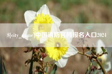 齐齐哈尔中国消防官网报名入口2024
