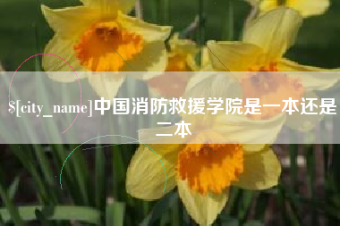 齐齐哈尔中国消防救援学院是一本还是二本
