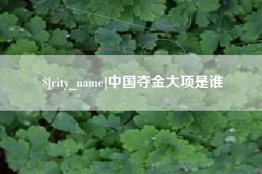 齐齐哈尔中国夺金大项是谁