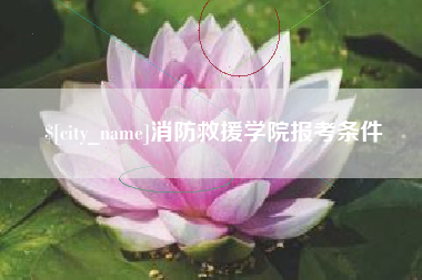 齐齐哈尔消防救援学院报考条件
