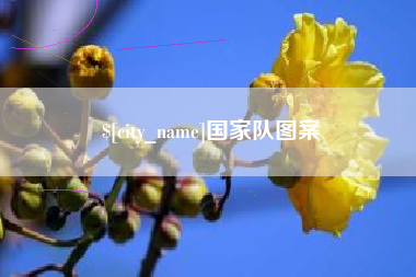 齐齐哈尔国家队图案