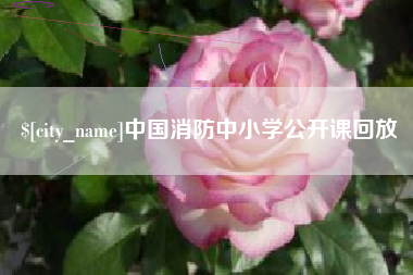 齐齐哈尔中国消防中小学公开课回放