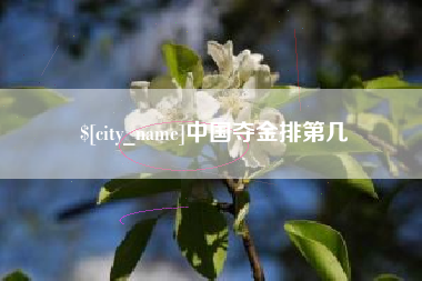 齐齐哈尔中国夺金排第几