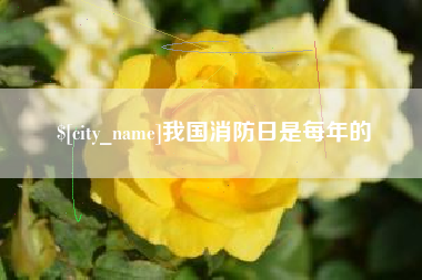 齐齐哈尔我国消防日是每年的