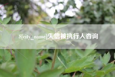 齐齐哈尔失信被执行人杳询