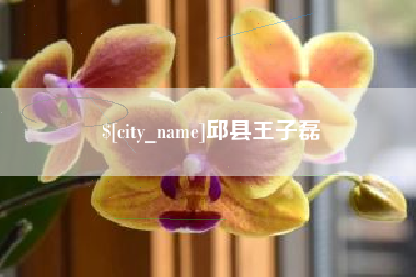 齐齐哈尔邱县王子磊
