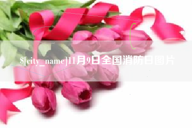 齐齐哈尔11月9日全国消防日图片