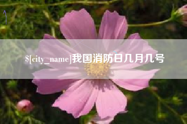 齐齐哈尔我国消防日几月几号