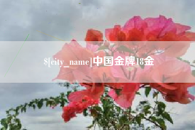 齐齐哈尔中国金牌18金