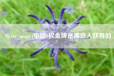 齐齐哈尔中国6枚金牌是哪些人获得的