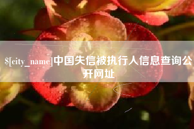 齐齐哈尔中国失信被执行人信息查询公开网址
