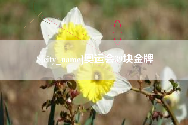 齐齐哈尔奥运会39块金牌
