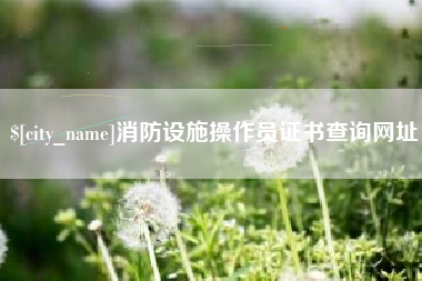 齐齐哈尔消防设施操作员证书查询网址