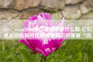 齐齐哈尔5000米世界冠军穿什么鞋-它们是运动员取得优异成绩背后的重要“功臣”
