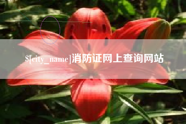齐齐哈尔消防证网上查询网站