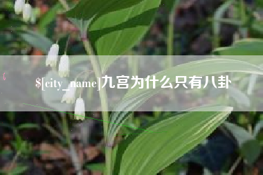 齐齐哈尔九宫为什么只有八卦