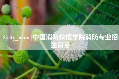 齐齐哈尔中国消防救援学院消防专业招生简章