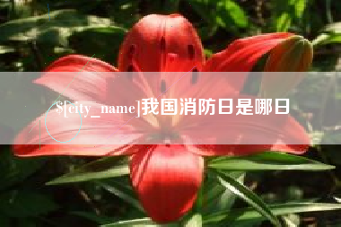 齐齐哈尔我国消防日是哪日