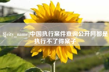 齐齐哈尔中国执行案件查询公开网都是执行不了得案子