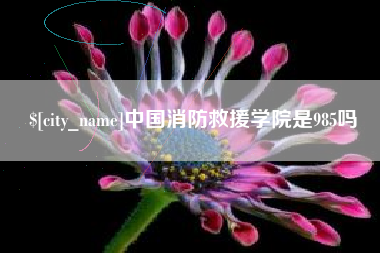 齐齐哈尔中国消防救援学院是985吗