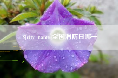 齐齐哈尔全国消防日哪一
