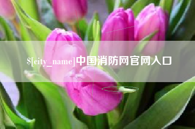 齐齐哈尔中国消防网官网入口