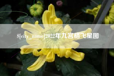 齐齐哈尔2022年九宫格飞星图