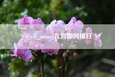 齐齐哈尔九宫如何排日