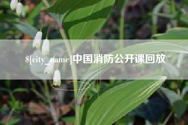 齐齐哈尔中国消防公开课回放