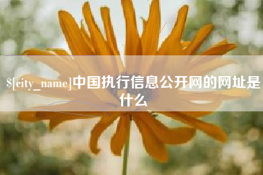 齐齐哈尔中国执行信息公开网的网址是什么