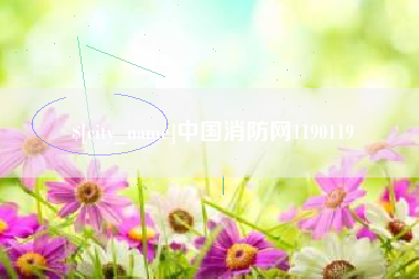 齐齐哈尔中国消防网1190119