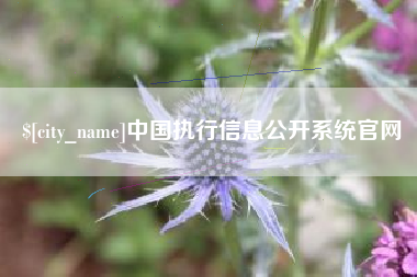 齐齐哈尔中国执行信息公开系统官网