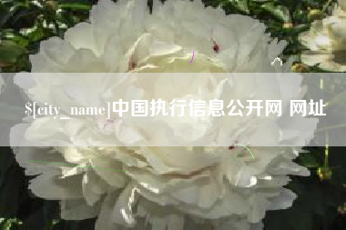 齐齐哈尔中国执行信息公开网 网址