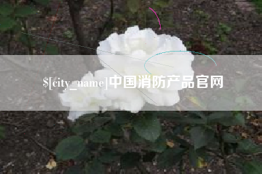 齐齐哈尔中国消防产品官网