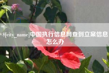齐齐哈尔中国执行信息网查到立案信息怎么办