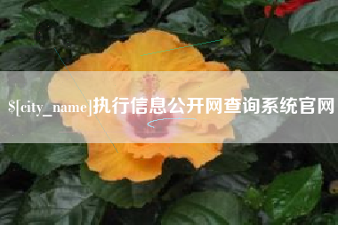 齐齐哈尔执行信息公开网查询系统官网
