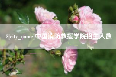 齐齐哈尔中国消防救援学院招生人数