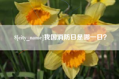 齐齐哈尔我国消防日是哪一日？
