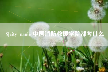 齐齐哈尔中国消防救援学院都考什么